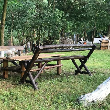 Camping In Clisura Dunarii Ieşelniţa Buitenkant foto