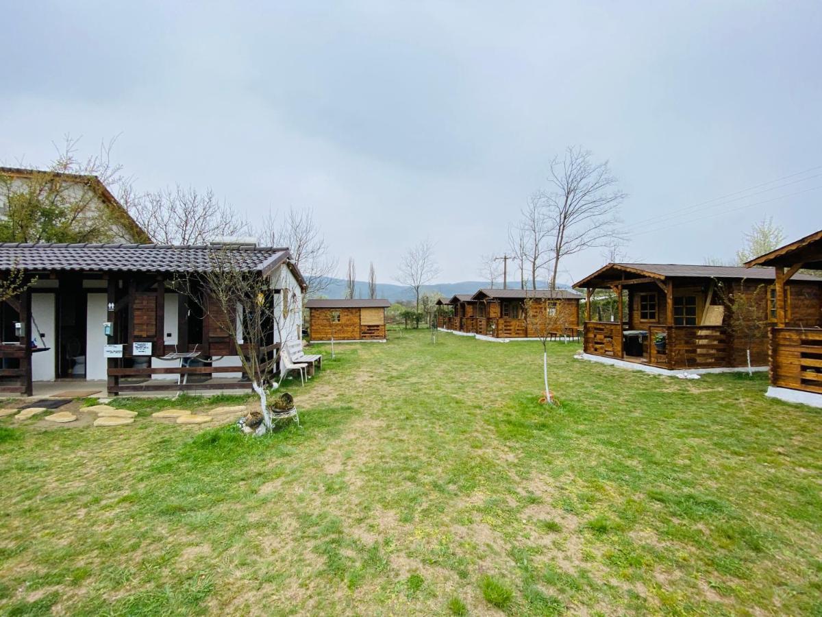 Camping In Clisura Dunarii Ieşelniţa Buitenkant foto