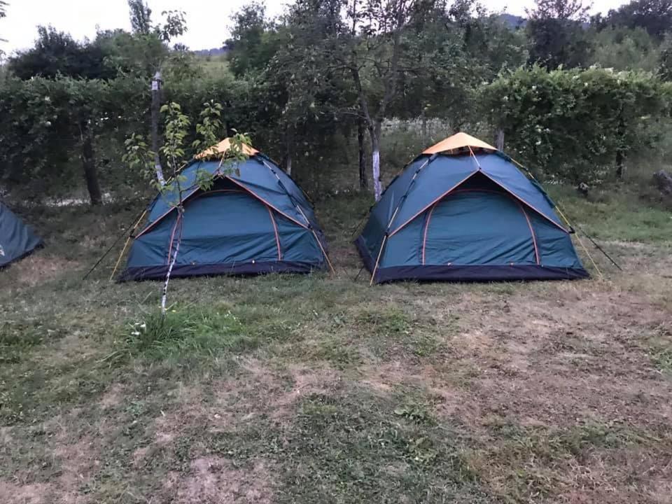 Camping In Clisura Dunarii Ieşelniţa Buitenkant foto