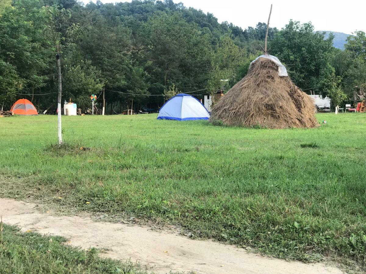 Camping In Clisura Dunarii Ieşelniţa Buitenkant foto