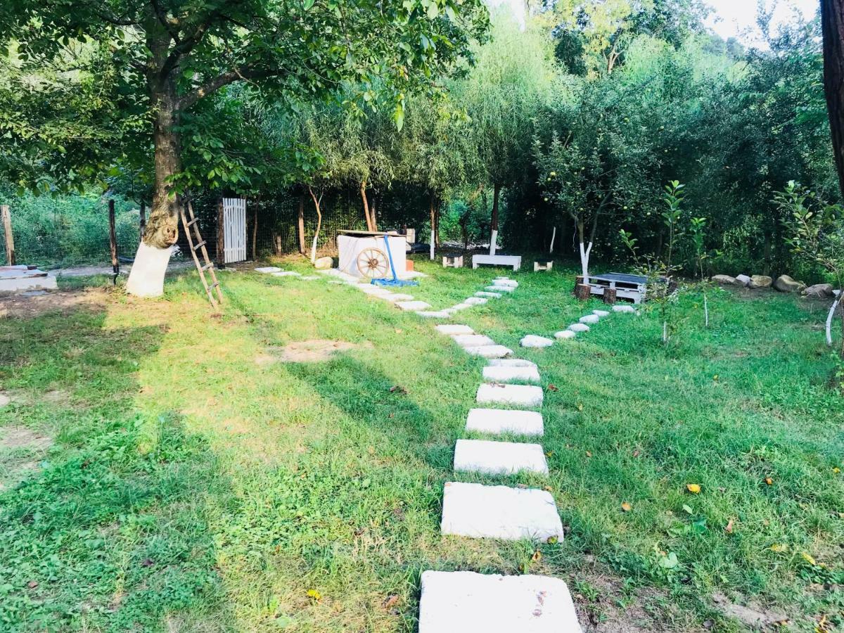 Camping In Clisura Dunarii Ieşelniţa Buitenkant foto