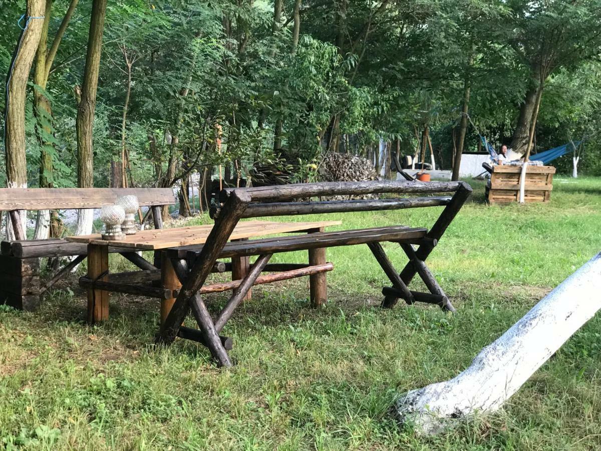 Camping In Clisura Dunarii Ieşelniţa Buitenkant foto