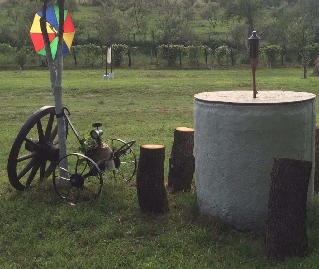Camping In Clisura Dunarii Ieşelniţa Buitenkant foto