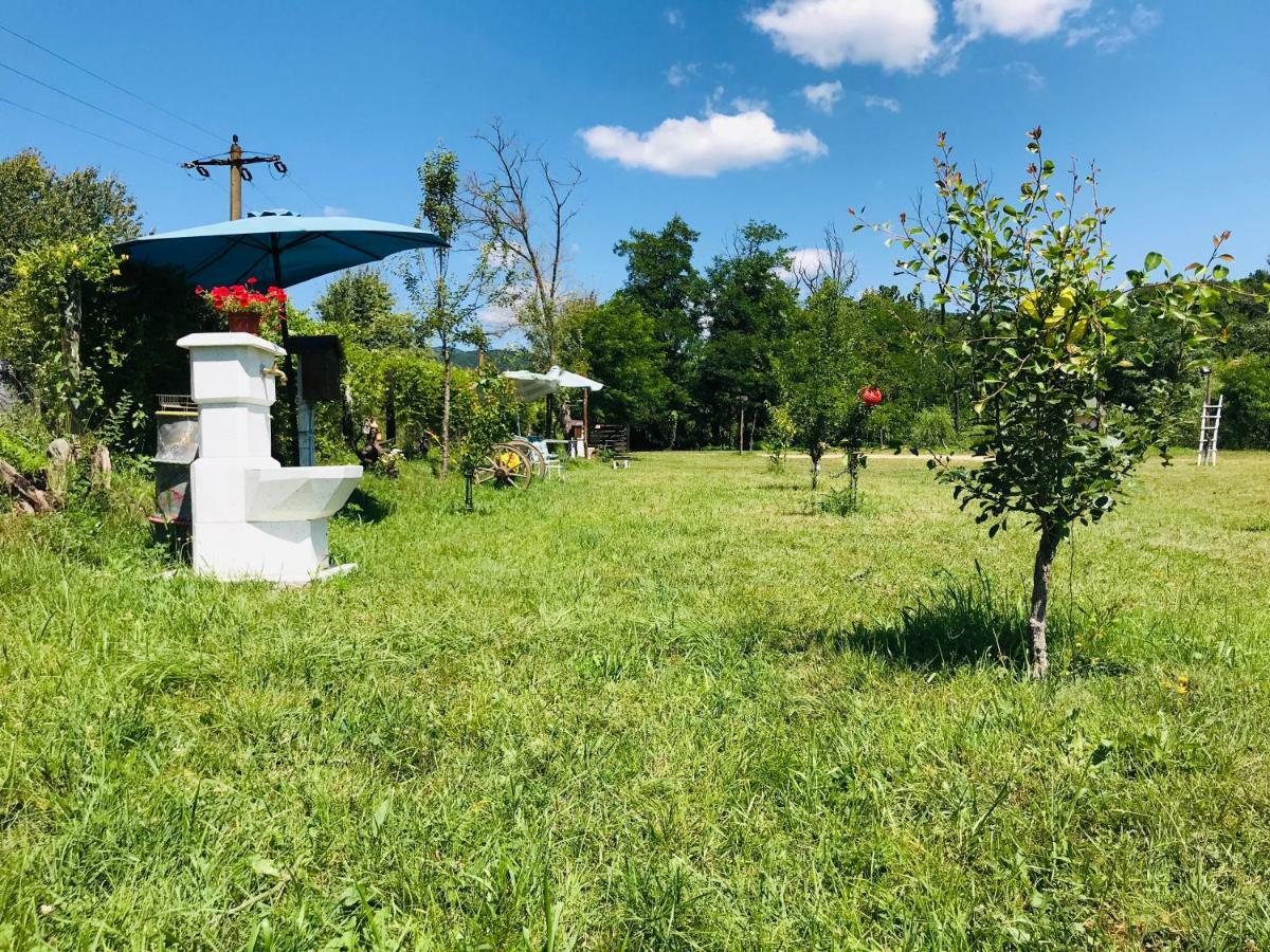 Camping In Clisura Dunarii Ieşelniţa Buitenkant foto
