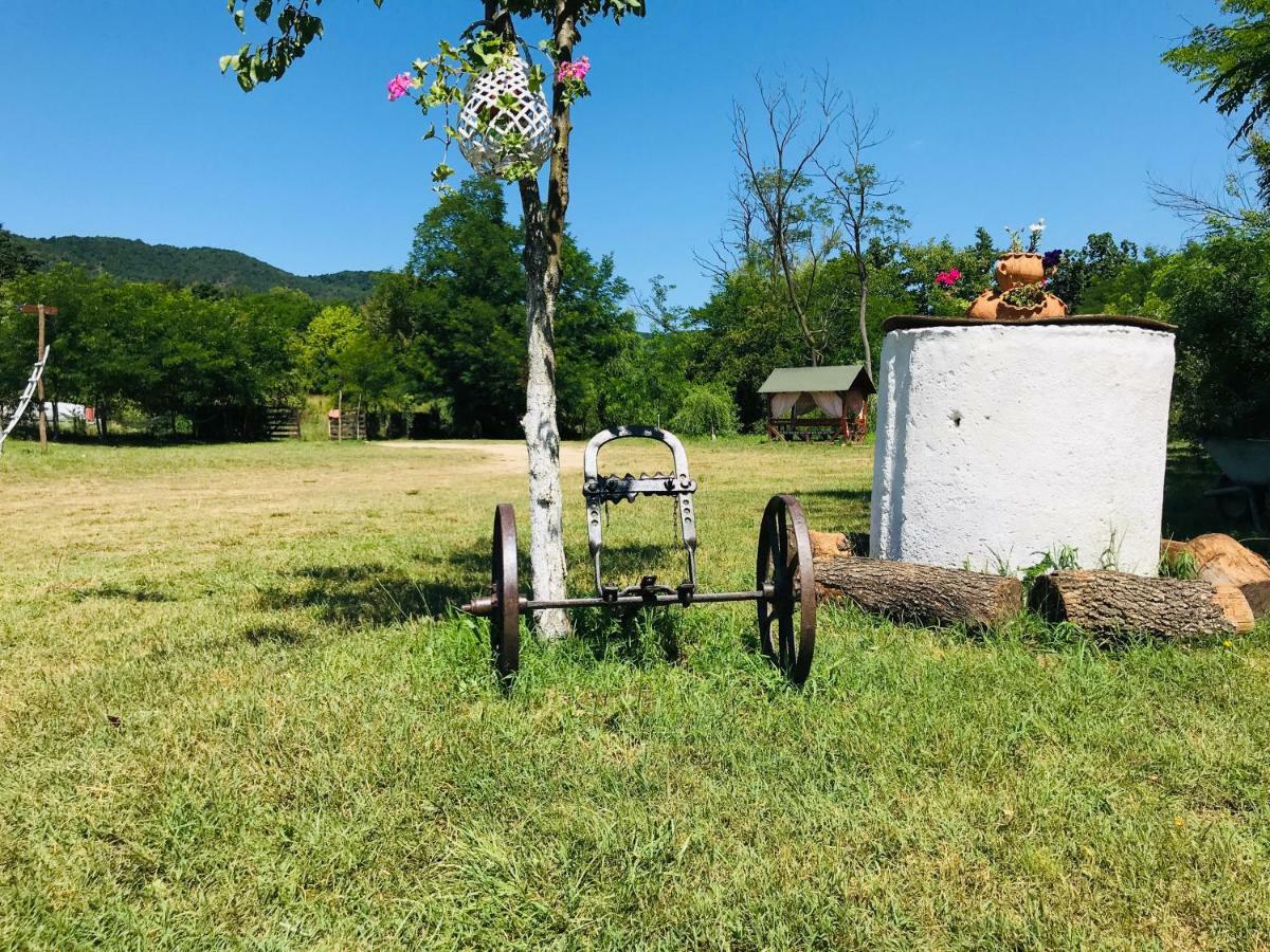 Camping In Clisura Dunarii Ieşelniţa Buitenkant foto
