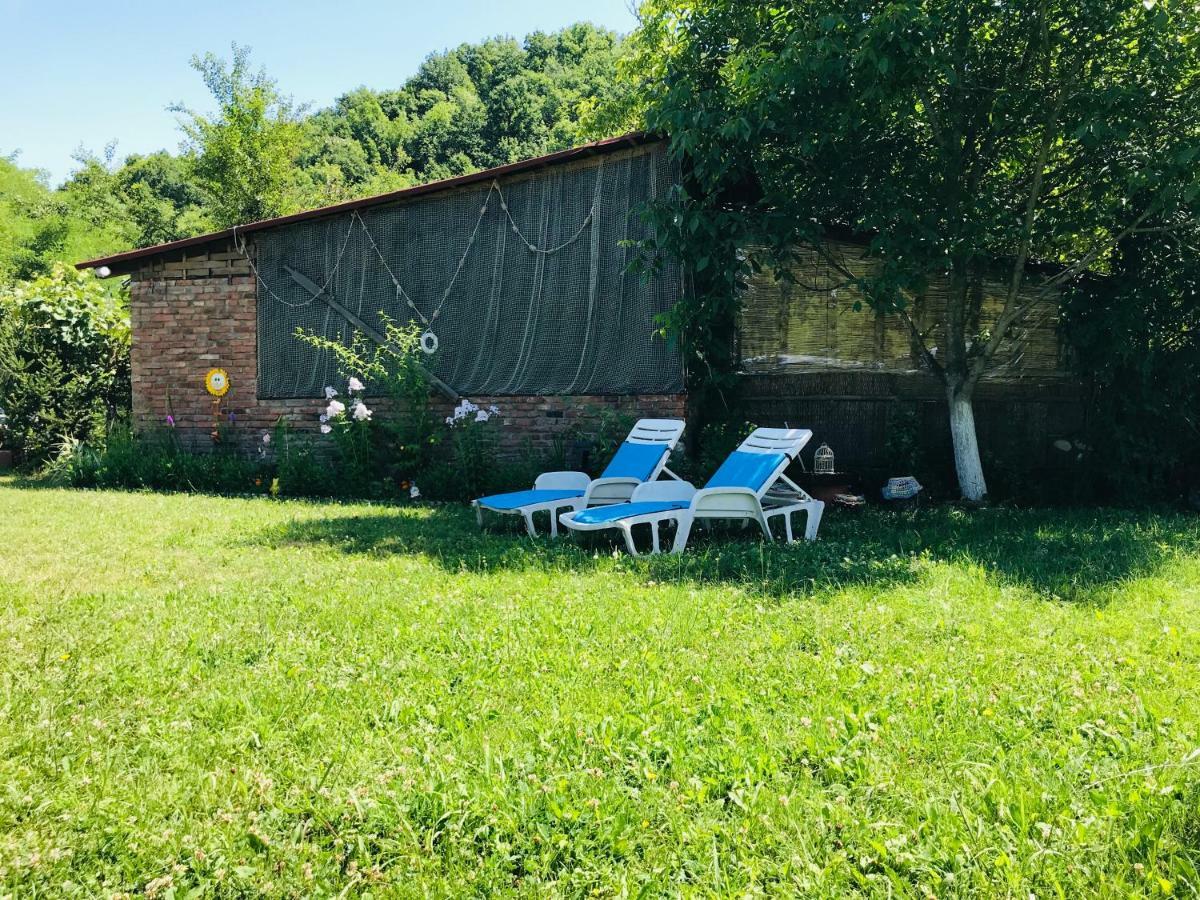 Camping In Clisura Dunarii Ieşelniţa Buitenkant foto
