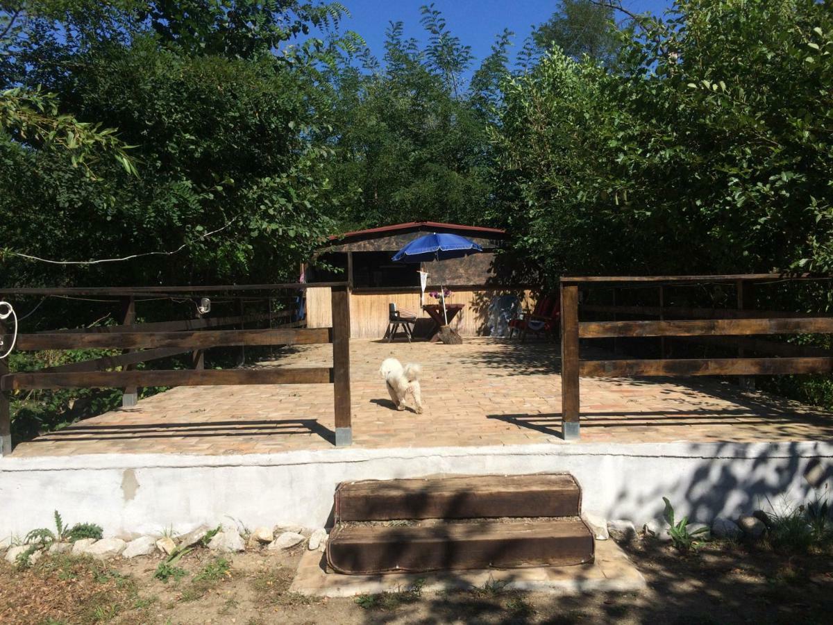 Camping In Clisura Dunarii Ieşelniţa Buitenkant foto