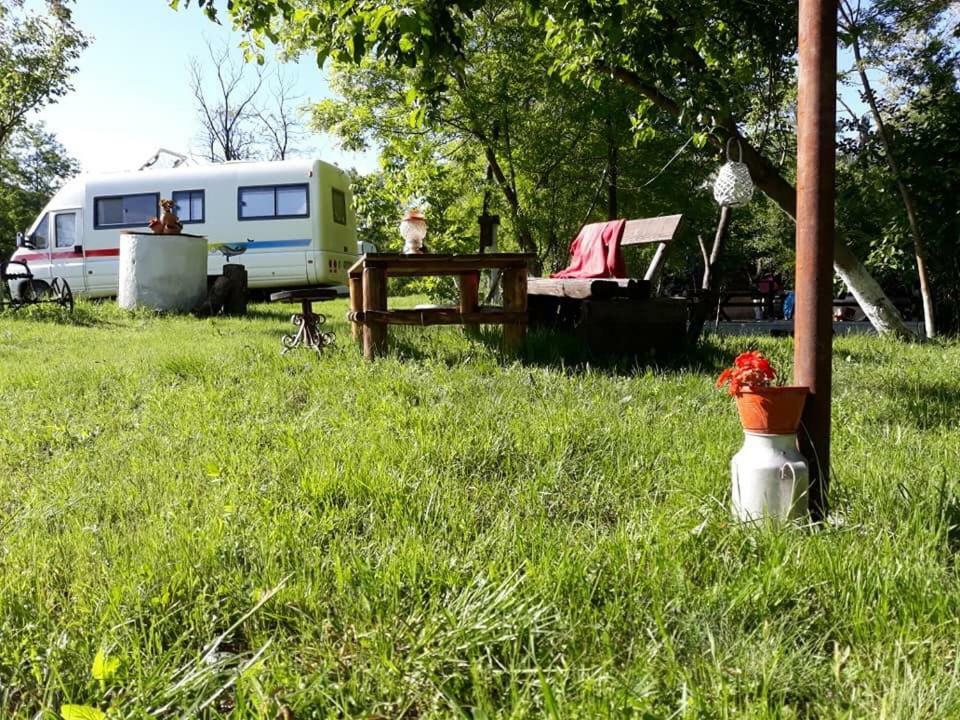 Camping In Clisura Dunarii Ieşelniţa Buitenkant foto